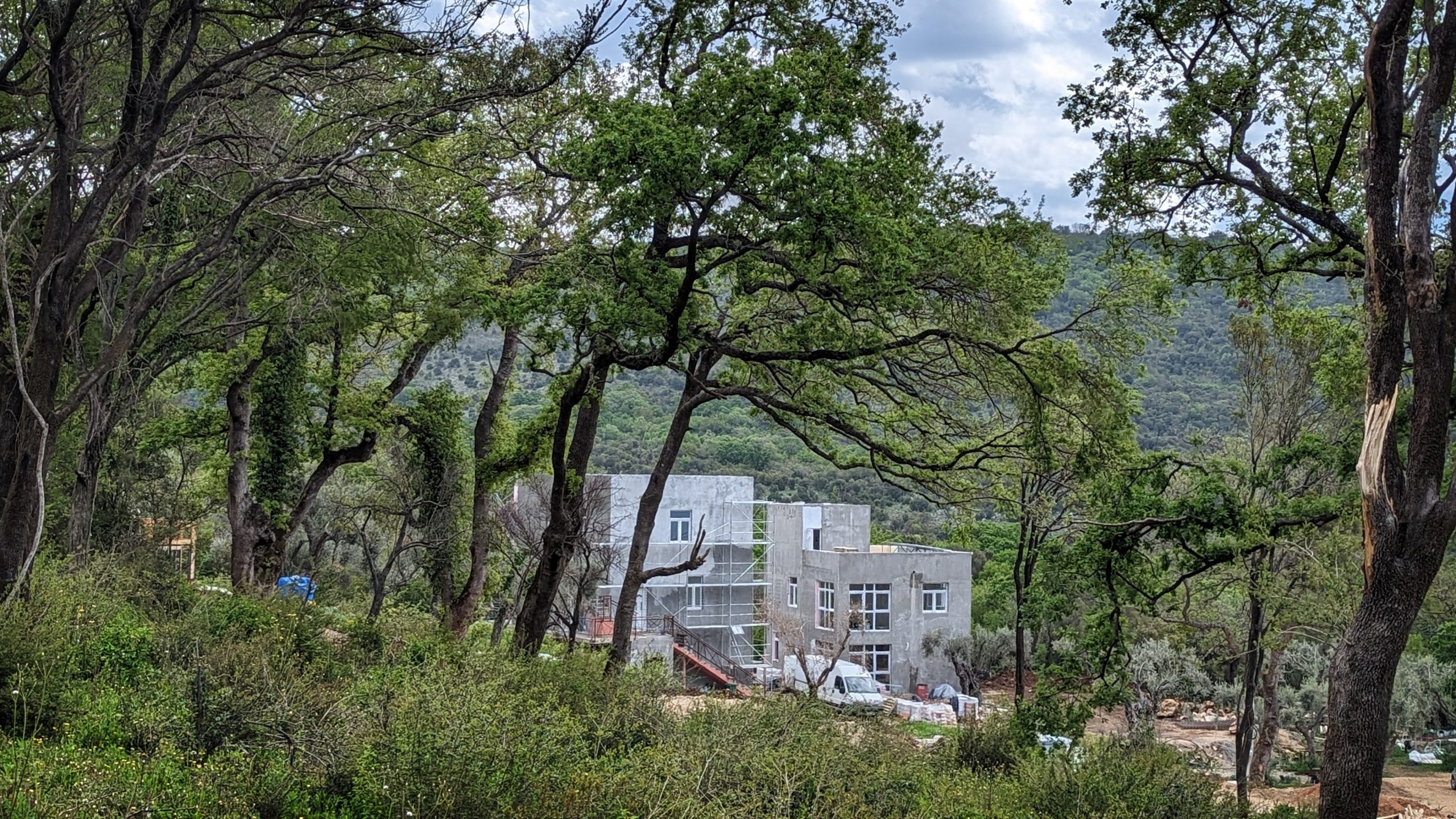 Jose Birkin: Montelibero, Libertarian Governance & Tokenomics